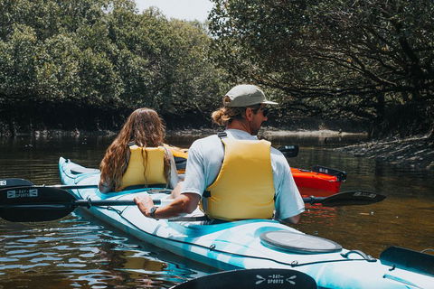 Kayak Tour In Adelaide Dolphin Sanctuary - Holiday Adelaide 2