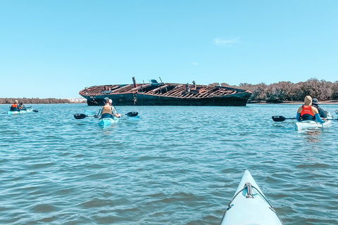 Kayak Tour In Adelaide Dolphin Sanctuary - Holiday Adelaide 3