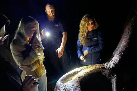 Evening Rainforest & Glow Worm Experience - Holiday Adelaide 2