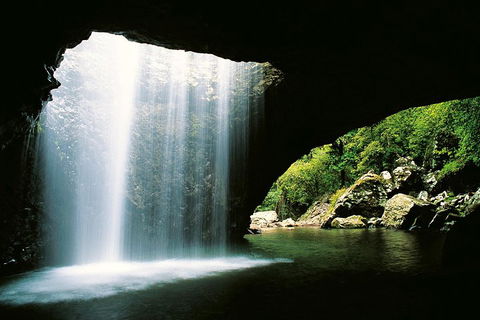 Natural Bridge & Springbrook Waterfalls Tour - Holiday Adelaide 0