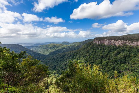 Natural Bridge & Springbrook Waterfalls Tour - Holiday Adelaide 1