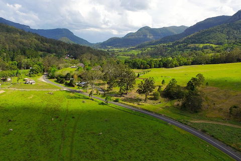 Natural Bridge & Springbrook Waterfalls Tour - Holiday Adelaide 2