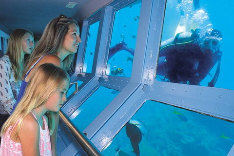 Quicksilver Outer Great Barrier Reef Snorkel Cruise From Palm Cove - Holiday Adelaide 0