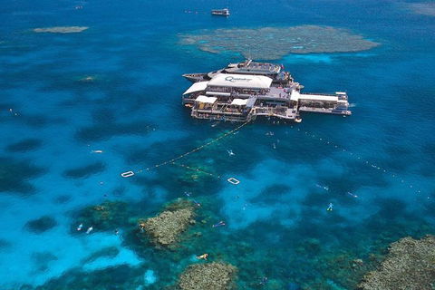 Quicksilver Outer Great Barrier Reef Snorkel Cruise From Palm Cove - Holiday Adelaide 1