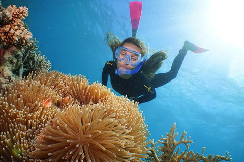 Quicksilver Outer Great Barrier Reef Snorkel Cruise From Palm Cove - Holiday Adelaide 2