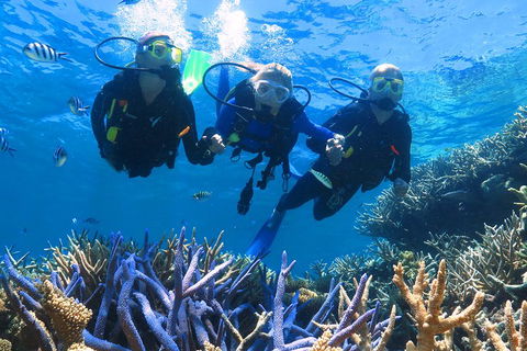 Quicksilver Outer Great Barrier Reef Snorkel Cruise From Palm Cove - Holiday Adelaide 3