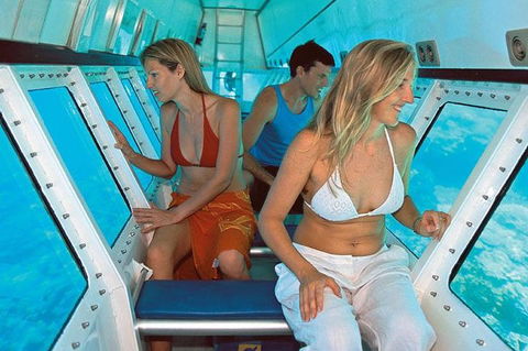 Quicksilver Outer Great Barrier Reef Snorkel Cruise From Palm Cove - Holiday Adelaide 5