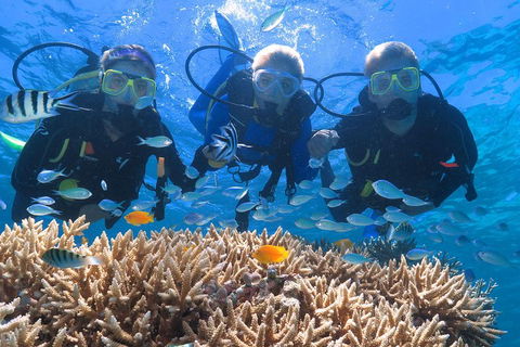 Quicksilver Outer Great Barrier Reef Snorkel Cruise From Port Douglas - Holiday Adelaide 4