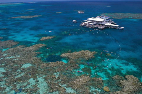 Ultimate 3-Day Great Barrier Reef Cruise Pass - Holiday Adelaide 3