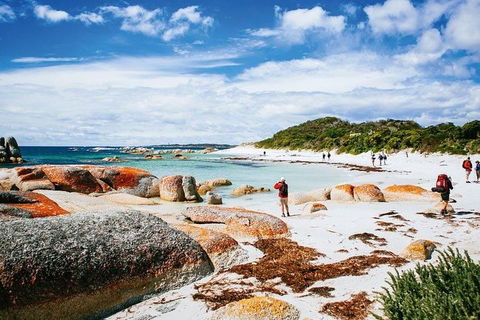 Wineglass Bay Private Charter Service - Holiday Adelaide 3
