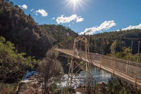 Launceston Private Charter Service - Holiday Adelaide 5