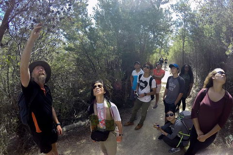 Active Day Tour One-Way From Launceston To Hobart Via Wineglass Bay - Holiday Adelaide 0