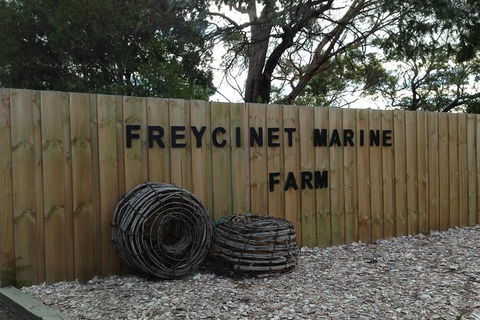 Active Day Tour One-Way From Launceston To Hobart Via Wineglass Bay - Holiday Adelaide 3