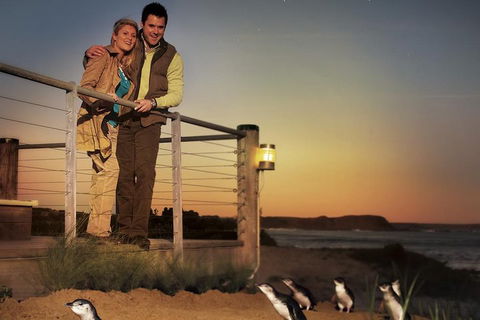 The Ultimate Melbourne Attractions Pass - Holiday Adelaide 3