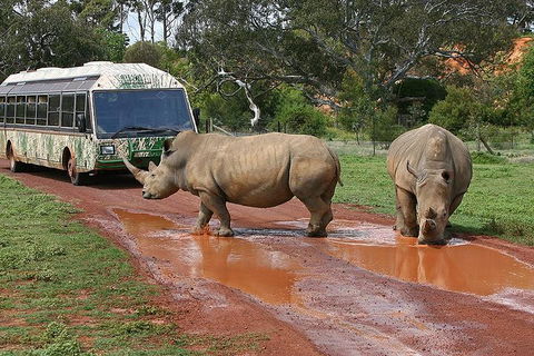 The Ultimate Melbourne Attractions Pass - Holiday Adelaide 4
