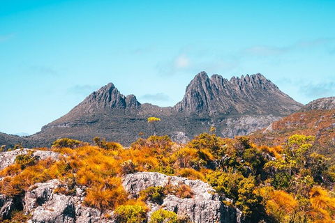 Cradle Mountain National Park Day Tour From Launceston - Holiday Adelaide 1