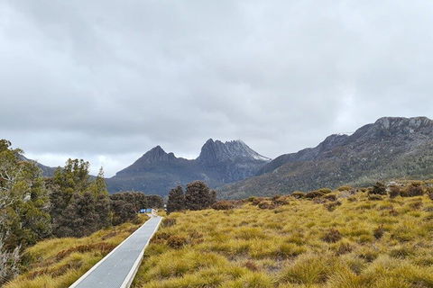 Cradle Mountain National Park Day Tour From Launceston - Holiday Adelaide 2