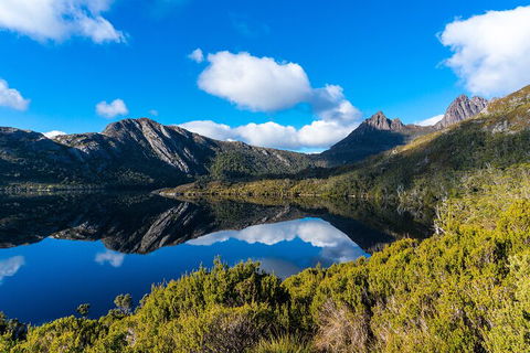 Cradle Mountain National Park Day Tour From Launceston - Holiday Adelaide 3