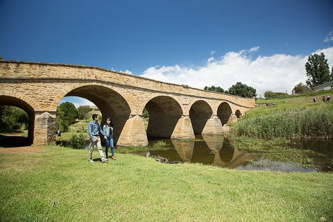 Bonorong Wildlife Park And Richmond Afternoon Tour From Hobart - Holiday Adelaide 0