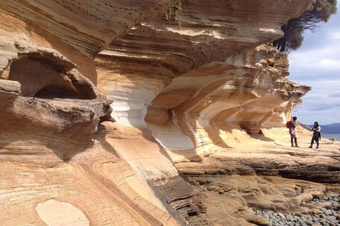 Hobart Minibus Full-Day Private Tour - Holiday Adelaide 0
