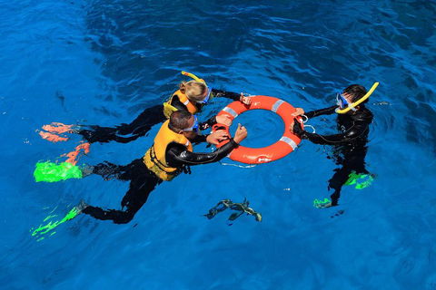 Great Barrier Reef Adventure From Cairns - Holiday Adelaide 3