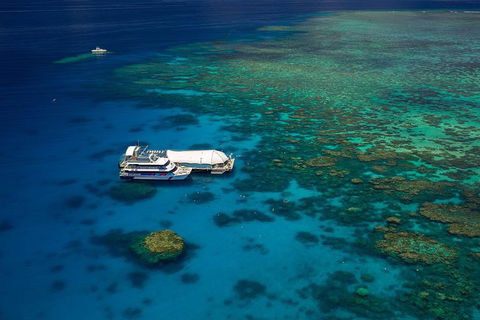 Great Barrier Reef Adventure From Cairns - Holiday Adelaide 4