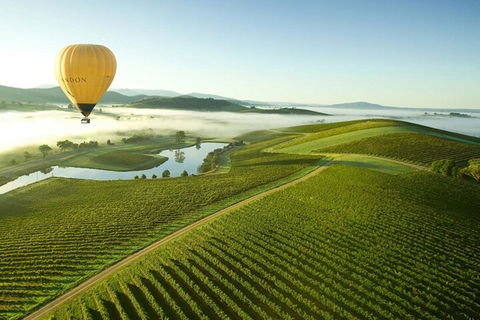 Half-Day Or Full-Day Tour With Private Guide From Melbourne - Holiday Adelaide 4