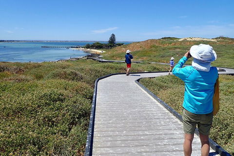 Penguin And Seal Islands Sea Kayaking Experience - Holiday Adelaide 1