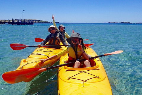 Penguin And Seal Islands Sea Kayaking Experience - Holiday Adelaide 4