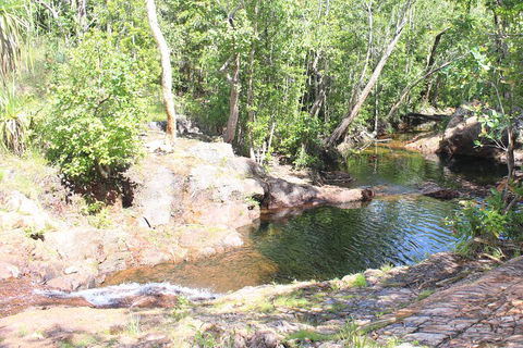 Jumping Crocodile Cruise And Berry Springs Nature Park - Holiday Adelaide 3