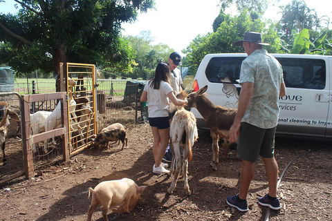 Jumping Crocodile Cruise And Berry Springs Nature Park - Holiday Adelaide 4