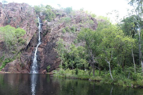 Jumping Crocodile Cruise And Berry Springs Nature Park - Holiday Adelaide 5