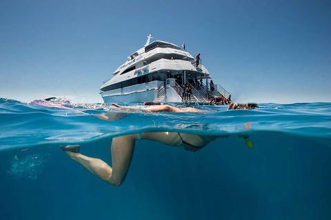 3 Day Great Barrier Reef, Daintree Rainforest And Outback Chillagoe Tour - Holiday Adelaide 0