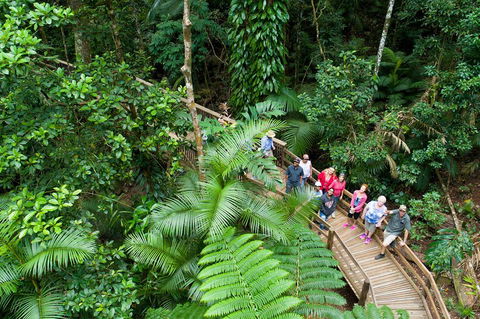3 Day Great Barrier Reef, Daintree Rainforest And Outback Chillagoe Tour - Holiday Adelaide 2