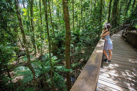 3 Day Great Barrier Reef, Daintree Rainforest And Outback Chillagoe Tour - Holiday Adelaide 3