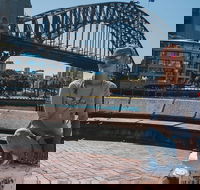 Sydney Private Tours by Locals 100 Personalized See the City Unscripted - Holiday Adelaide