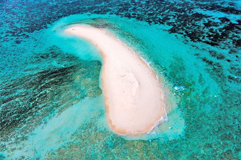 Private Coral Cay Bubbles Tour - Holiday Adelaide 3