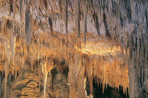 Margaret River, Caves, Wine And Cape Leeuwin Lighthouse Tour From Perth - Holiday Adelaide 3
