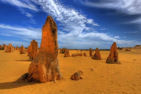 Pinnacles Desert & New Norcia Day Tour From Perth - Holiday Adelaide 0