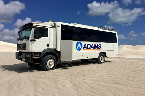 Pinnacles Desert, Koalas And Sandboarding 4WD Day Tour From Perth - Holiday Adelaide 2