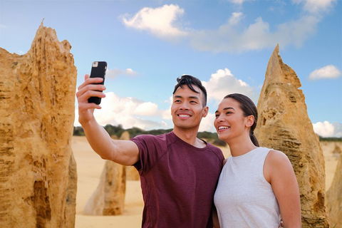 Pinnacles Desert, Koalas And Sandboarding 4WD Day Tour From Perth - Holiday Adelaide 4