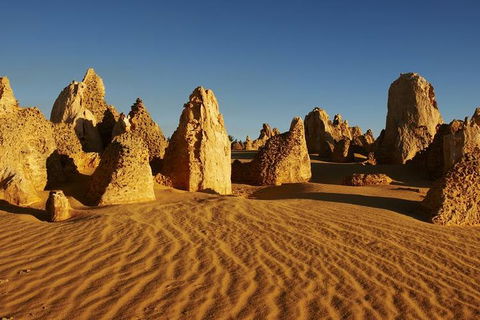 Full Day Pinnacle Desert Explorer From Perth Including Hillarys And Lancelin Sandboarding - Holiday Adelaide 3