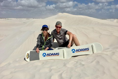 Full Day Pinnacle Desert Explorer From Perth Including Hillarys And Lancelin Sandboarding - Holiday Adelaide 4