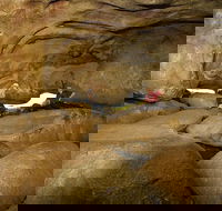 2-Day Wave Rock York Wildflowers  Aboriginal Experience - Holiday Adelaide