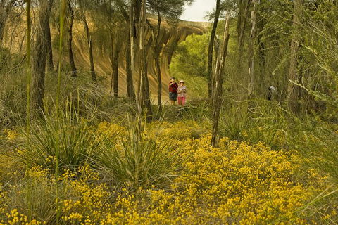 2-Day Wave Rock, York, Wildflowers & Aboriginal Experience - Holiday Adelaide 2