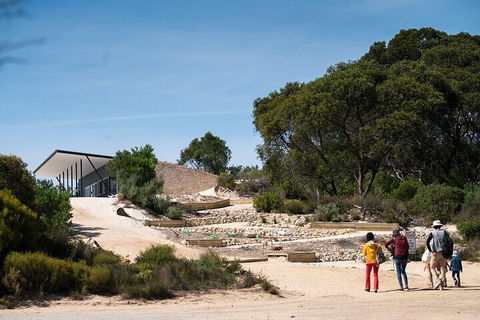 2-Hour Koala Walking Tour In Kangaroo Island - Holiday Adelaide 3