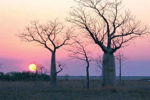 8-Day Outback Experience From Queensland - Holiday Adelaide 5
