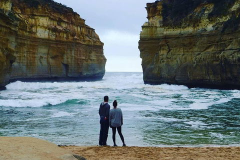 Great Ocean Road Small-Group Ecotour From Melbourne - Holiday Adelaide 1