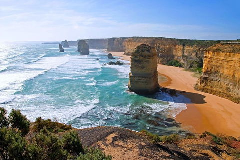 Great Ocean Road Small-Group Ecotour From Melbourne - Holiday Adelaide 2