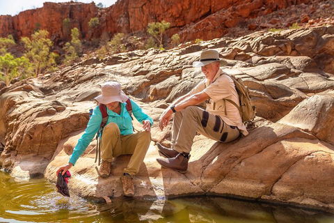 Private 9 Hour Walk And Waterhole Tour In West MacDonnell Ranges - Holiday Adelaide 1